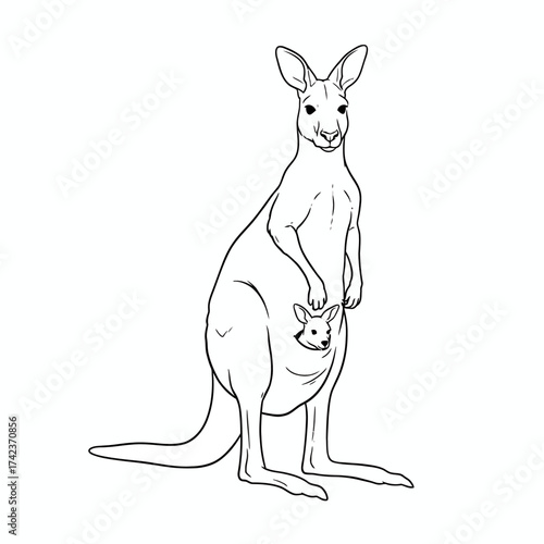 Minimalist line art illustration of a standing adult kangaroo with a baby joey peeking out from its protective pouch, symbolizing Australian wildlife and maternal care