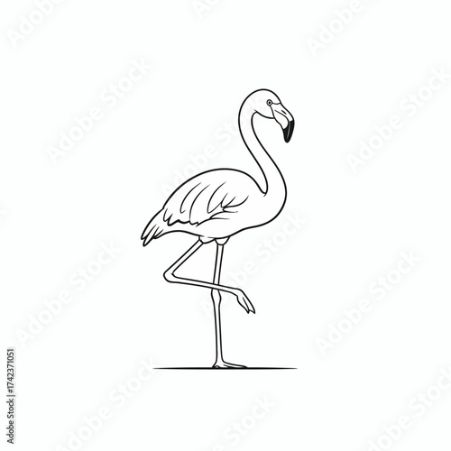 White exotic bird with blue markings on a branch. Soft sunlight illuminates pristine plumage against blurred green forest, capturing serene wildlife
