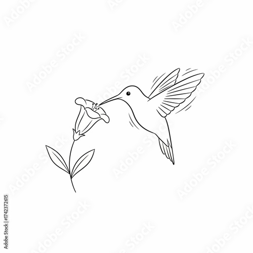A delicate hummingbird in mid-flight, gracefully feeding on nectar from a blooming flower, rendered in elegant line art, capturing a serene moment of nature's intricate dance