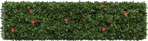 Dense green garden hedge with red flowers, natural landscaping foliage, outdoor decorative plant wall, botanical greenery background, cad drawing flat vector illustration