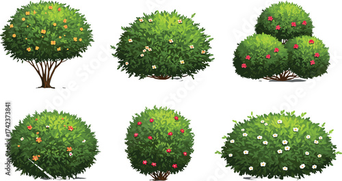 Flowering shrubs and bushes vector set, ornamental greenery, colorful blossoms, landscaping foliage, garden plants, decorative nature illustration