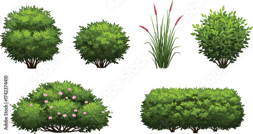 Flowering shrubs, pink blossoms, purple flower spikes, trimmed hedge, ornamental greenery, garden plants, outdoor foliage, landscape vegetation, cad drawing flat vector illustration