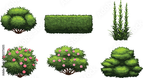 Flowering shrubs, pink blossoms, tiered topiary, trimmed hedge, ornamental greenery, garden plants, outdoor foliage, landscape vegetation, cad drawing flat vector illustration