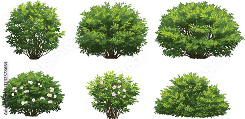 Shrubs and bushes vector set, flowering greenery, ornamental plants, landscaping foliage, garden elements, decorative nature illustration