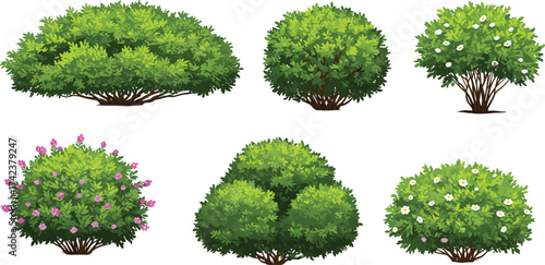 Shrubs and bushes vector set, flowering greenery, ornamental plants, landscaping foliage, garden elements, decorative nature illustration