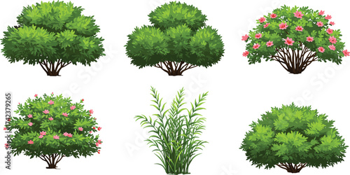 Shrubs and bushes vector set, flowering greenery, ornamental plants, landscaping foliage, garden elements, decorative nature illustration