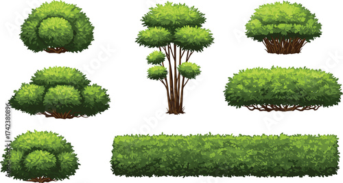 Tiered bush, layered topiary, trimmed hedge, ornamental greenery, garden shrubs, outdoor foliage, landscape vegetation, cad drawing flat vector illustration