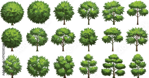 Green tree collection vector, natural forest illustration, eco landscape design, summer foliage plants set, detailed nature element, environmental art drawing