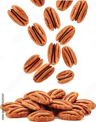 Falling pecan nuts illustration, natural organic food vector, healthy snack ingredient, brown nut kernel art, realistic seed design, delicious nutrition concept