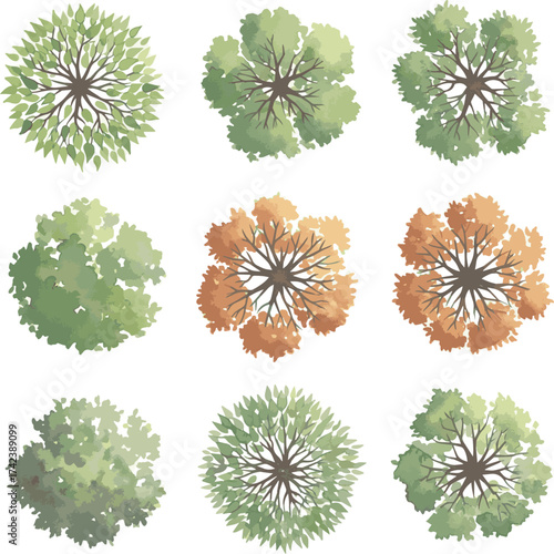 solated a kinds of deferent Vector tree top watercolor hand drawn view isolated on white background for landscape plan and architecture layout drawing, elements for environment garden vector art .