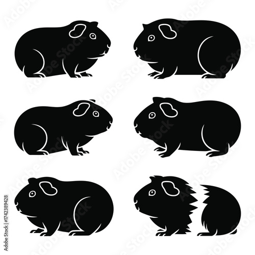 Set of six black vector silhouettes of guinea pigs adorable rodent illustrations scalable eps graphics silhouette White background