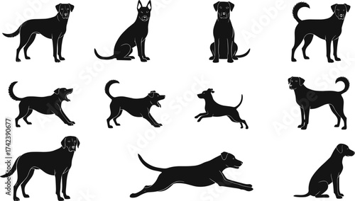 Dog silhouette set, pet poses, animal vector, black icons, canine movement, sitting dog, running dog, jumping pose, graphic design