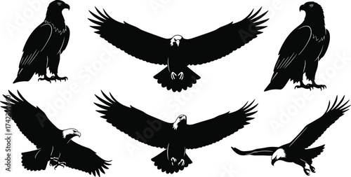 Eagle silhouette set, flying and perched eagles, bird of prey poses, black vector illustration, wildlife design, minimal animal shapes