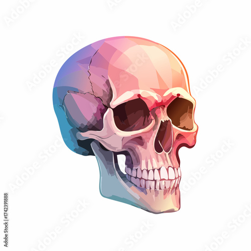 Colorful skull illustration with a gradient of pink, purple, and blue.
