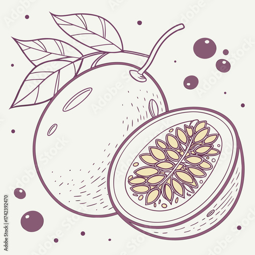 Illustration of passion fruit with leaves and seeds