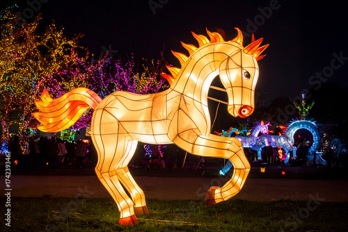 horse
