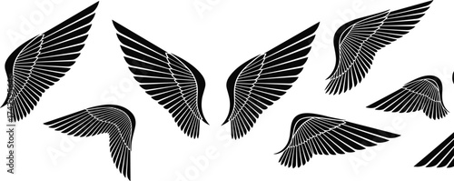 Wing vector icons, black feather illustrations, stylized angel wings, tattoo design elements, aerodynamic shapes, digital art set, symbolic graphics