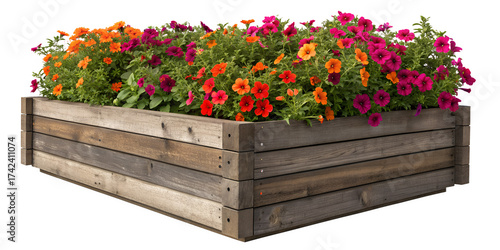 Vibrant Mixed Annual Flowers in Rustic Wooden Planter Box