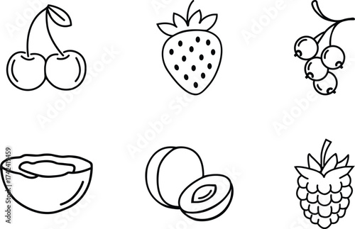 Collection of hand drawn outline icons featuring various fresh fruits and berries on a white background