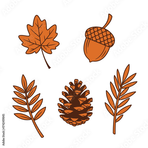 Fall leaves, acorn, and pinecone vector collection with warm autumn colors and natural forest vibes