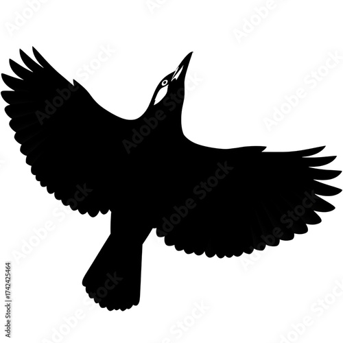 eagle vector illustration