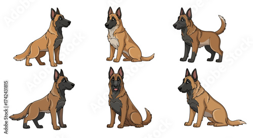 Cartoon Belgian Malinois dogs collection in various poses showcasing breed standards
