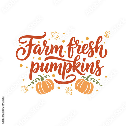 The fall season is commonly associated with pumpkin patches, a favorite activity for picking fresh pumpkins to decorate or carve during autumn.