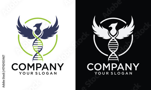Creative phoenix and helix dna logo design, flying bird eagle falcon hawk vector icon concept