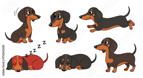 Charming collection of playful dachshunds showcasing various poses and expressions ideal for