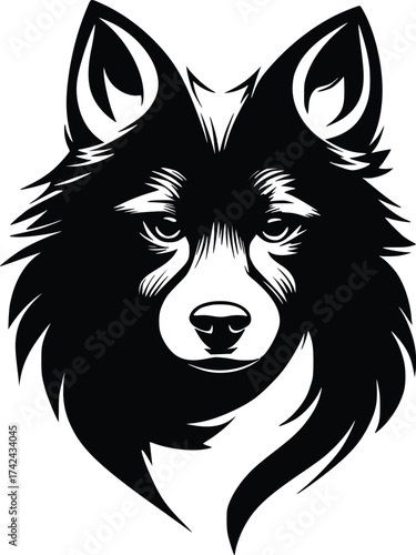 Schipperke head silhouette with pointed ears, thick ruff, and intense gaze in black vector