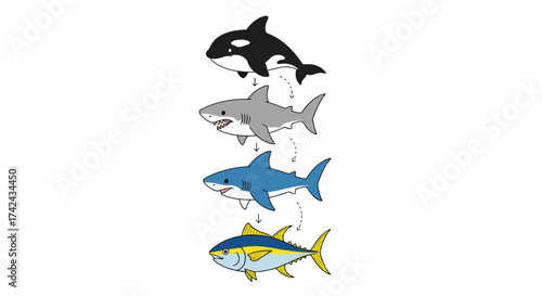 Marine food web cartoon illustration showcasing predator-prey relationships in ocean life showing