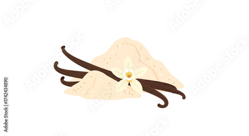Delicate Vanilla Spice: An Artistic Depiction of Culinary Flavor Enhancers on White Backdrop
