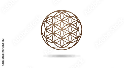 Elegant golden flower of life symbol radiating sacred geometry concept design on white background