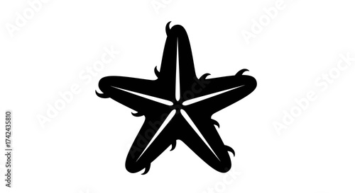 Bold sea star silhouette with stylized projections evoking a unique marine creature