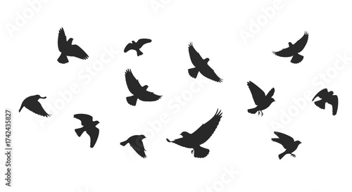 Ethereal avian silhouettes captured mid-flight against a stark white backdrop creating dynamic