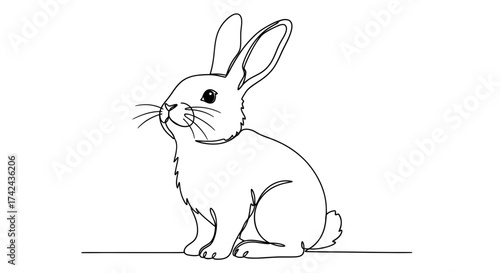 Elegant monochrome line art illustration depicting a rabbit in minimalist style design