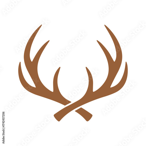 Antlers are paired bony, branching growths on the heads of male deer and are shed and regrown each year.