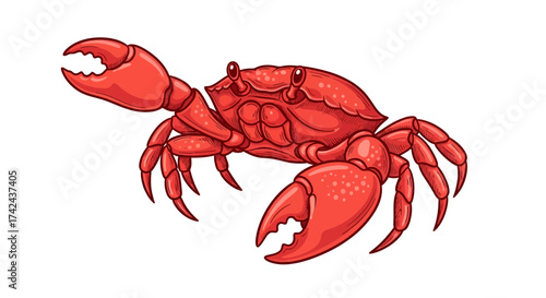 Illustrative depiction of a formidable red crab showcasing its prominent claws and detailed