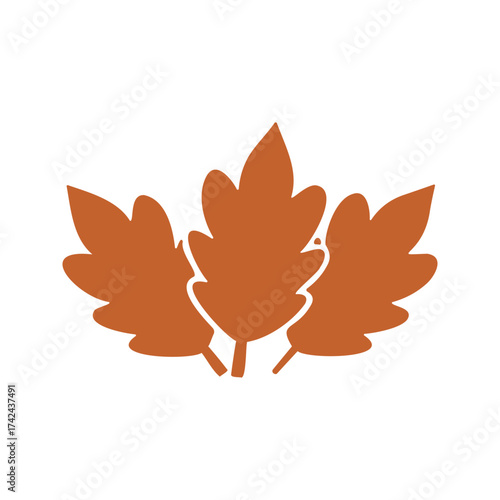 Three copper-colored oak leaves come together in this illustration, evoking the essence of the autumn season and changing foliage.