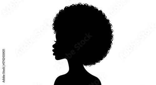Silhouette of a stylish woman with afro hairstyle embodying elegance and power