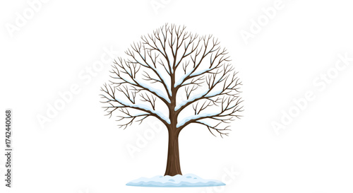 Winter's Bare Beauty: A Solitary Tree Standing Bravely Underneath the Snow
