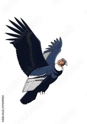 Majestic Flat Vector Illustration of an Andean Condor Flying