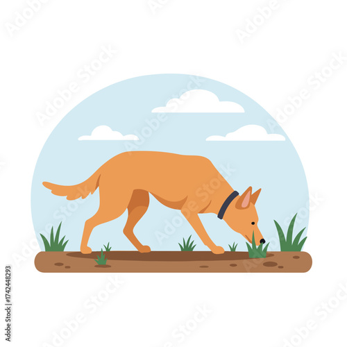 Orange dog sniffing grass under a cloudy sky in a pastoral scene