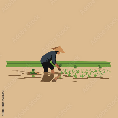 Farmer in conical hat planting rice in flooded field