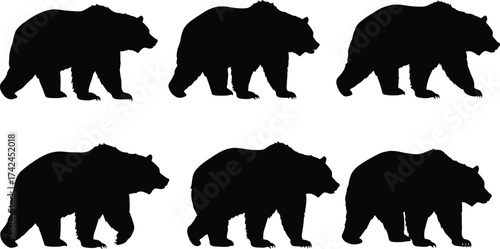 Bear walking silhouette set, wild animal vector illustration, wildlife motion sequence, black bear poses, nature design, forest mammal graphic artBear walking silhouette set, 