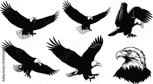 Bald Eagle Silhouette Vector Set, Flying and Hunting Poses, Detailed Head Illustration, Perfect for Logos, Tattoos, and Designs