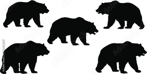 Bear walking silhouettes collection, wild animal vector illustration, black bear poses, forest wildlife design, mammal motion sequence, nature graphic art, predator outline