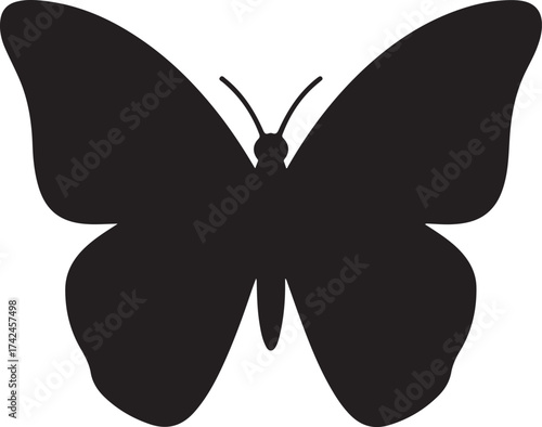 butterfly  vector wing animal illustration