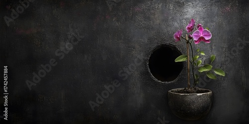 Beautiful blooming pink orchid flower in rustic stone pot on grunge background