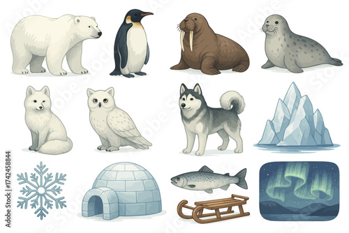 Polar animals and arctic scenery: penguins, walrus, igloo, northern lights